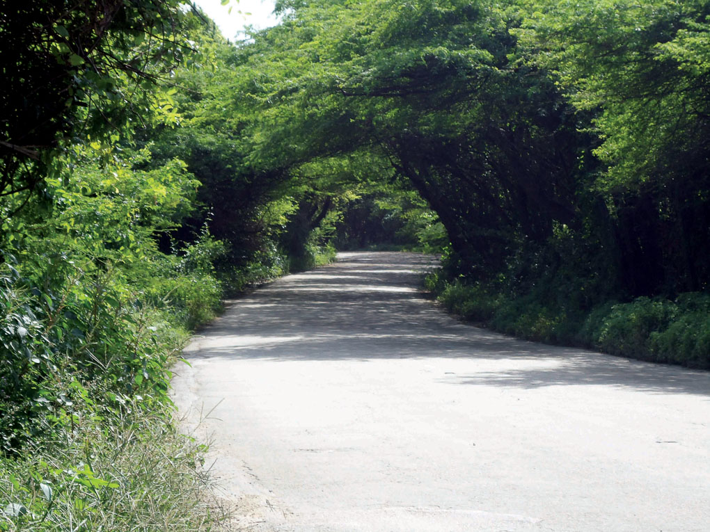 Frenchman's Pass Things to do and see in Aruba