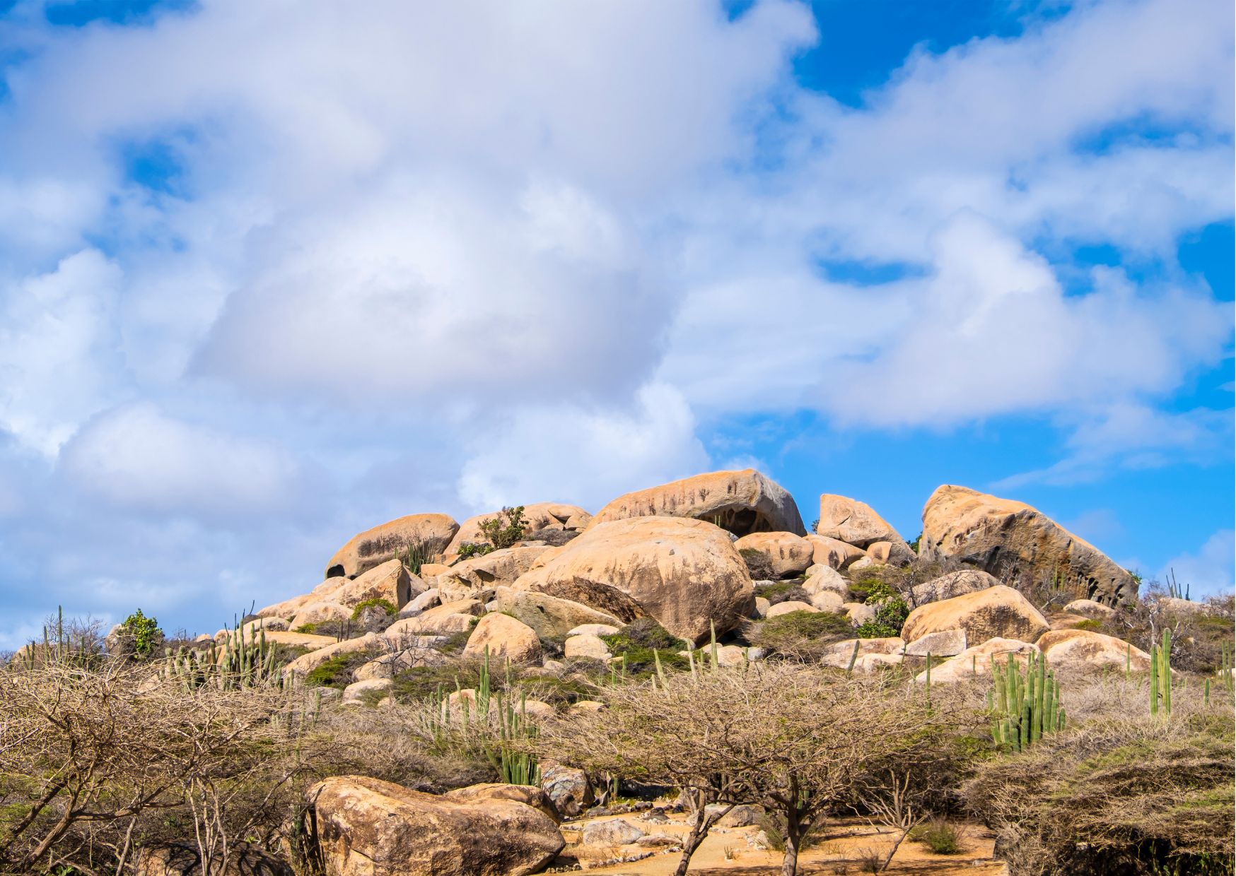 Cool Things to See in Aruba