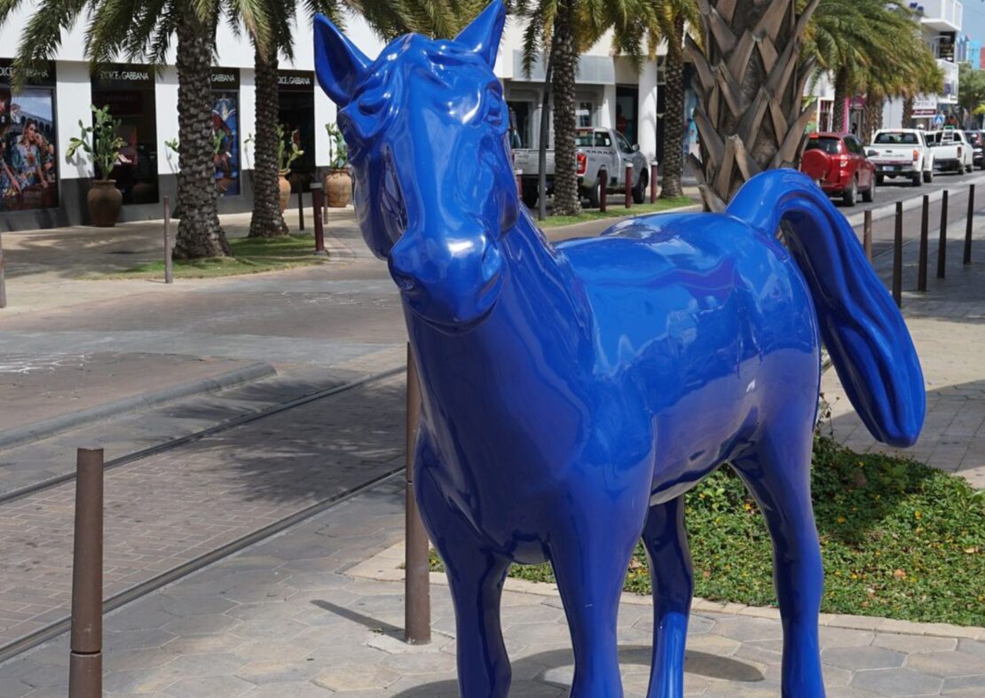 blue horses aruba 