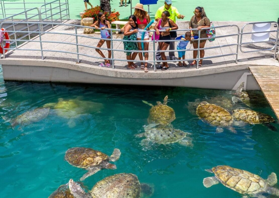 The Cayman Turtle Centre
