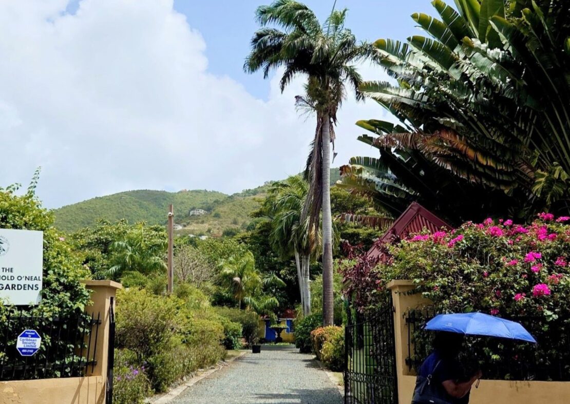 J.R. O'Neal Botanic Gardens in bvi