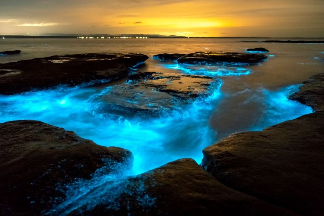 Grand Cayman’s Bioluminescent Bay