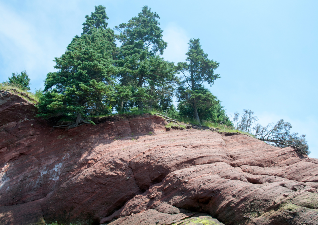 Red Rock Trail 
