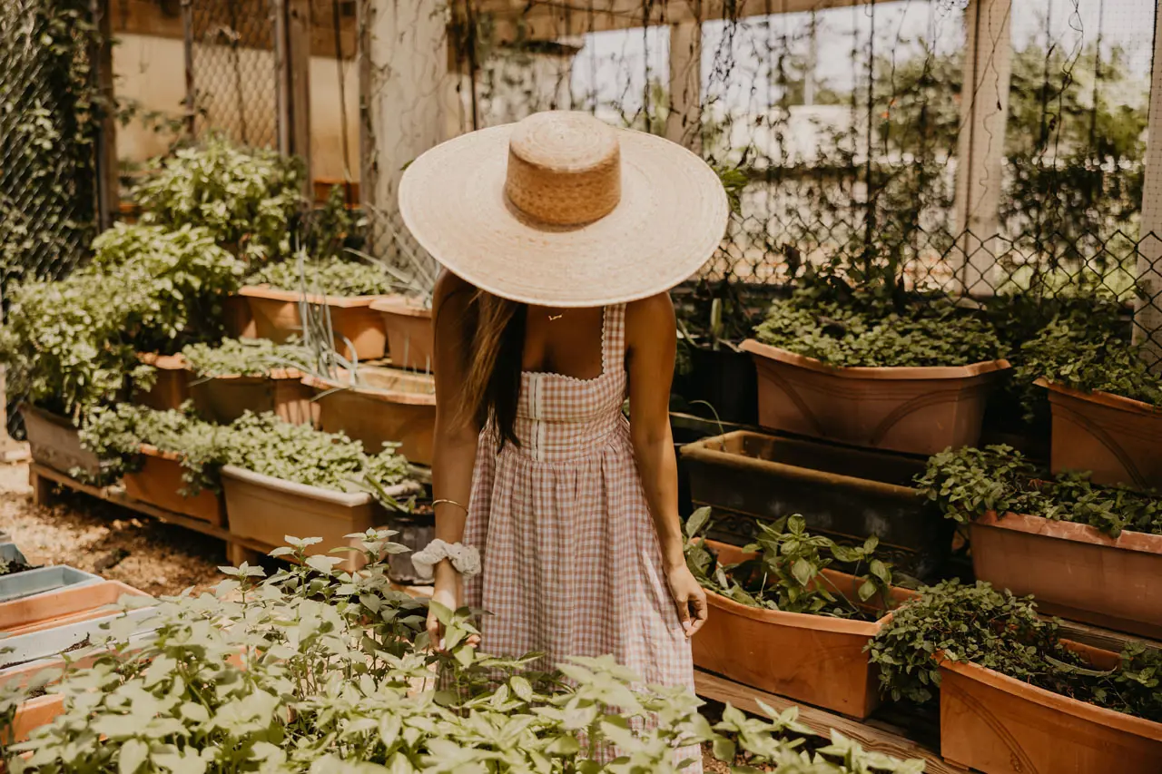 Le Soleil d’Or, Cayman Brac