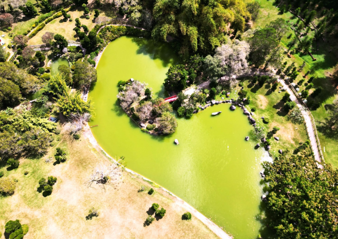  National Botanical Garden