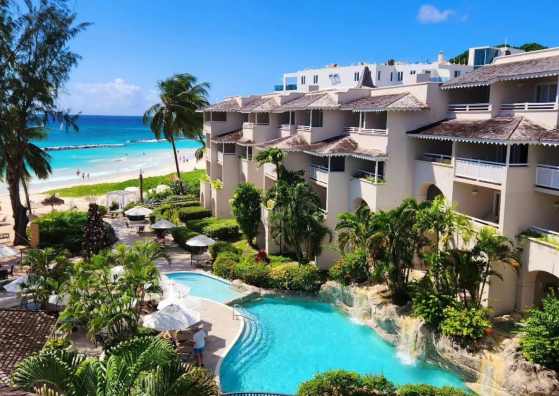 Bougainvillea Barbados