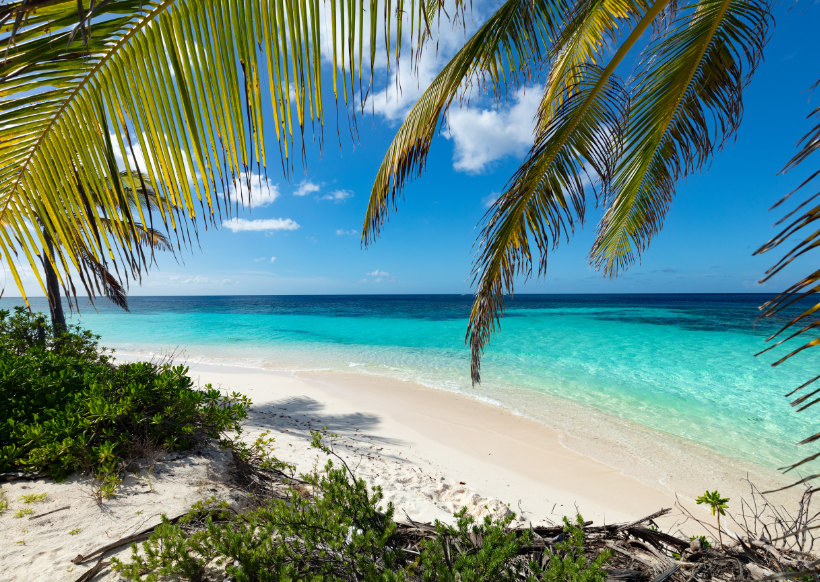 Shoal Bay East