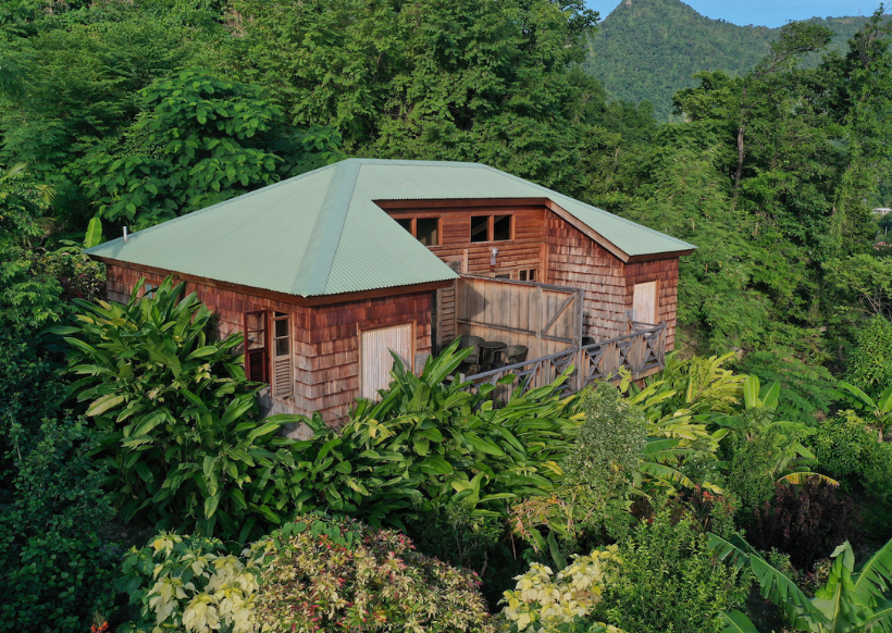 Jungle Bay Dominica